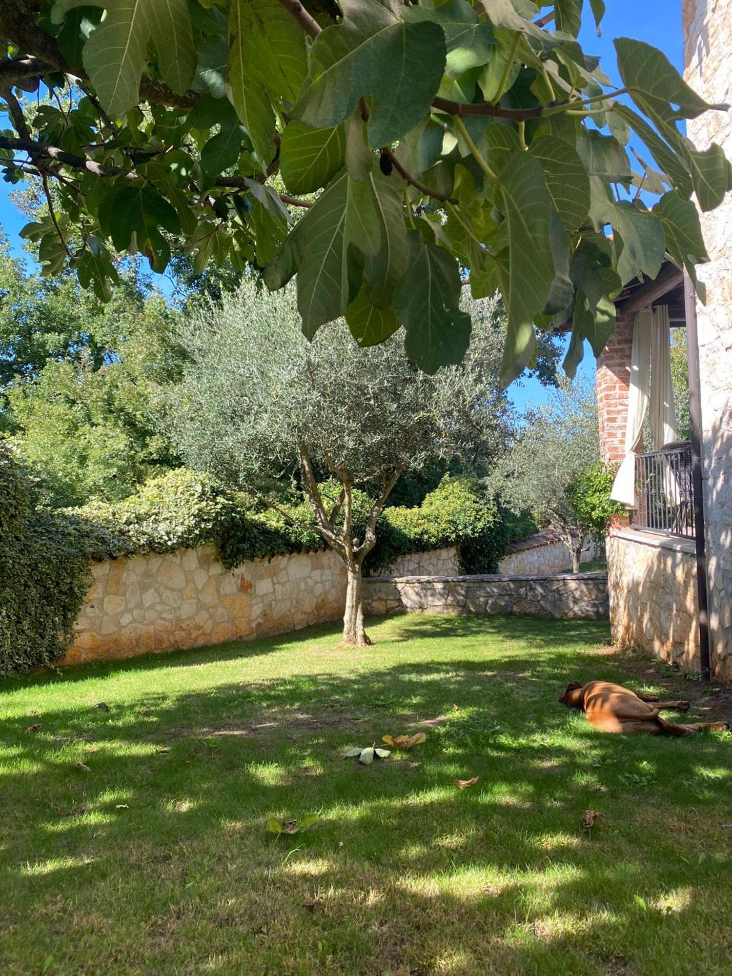 Isabella - Ruheoase Villa Porec